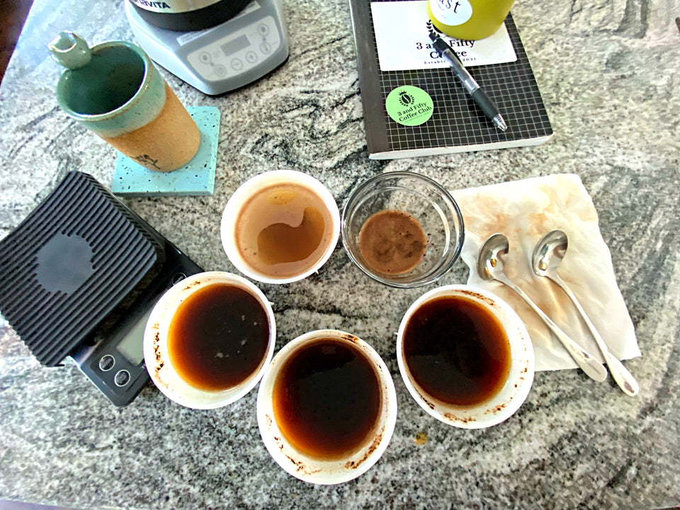 Consume fresh roasted within 5 to 20 days after roasting. We taste test our coffee 24 hours after roasting and again at 5 to seven day intervals for the next several weeks to determine the sweet spot for drinking each roast. Picture of coffee cupping.